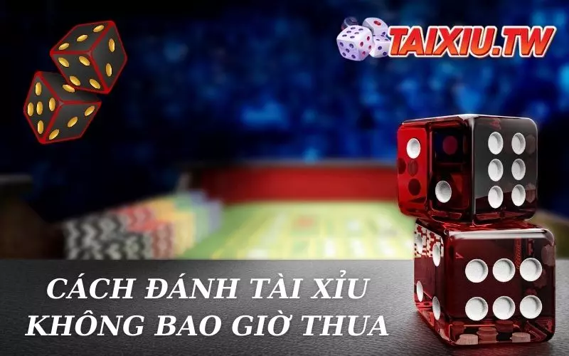 Chơi tài xỉu đúng cách hạn chế rủi ro thua cược